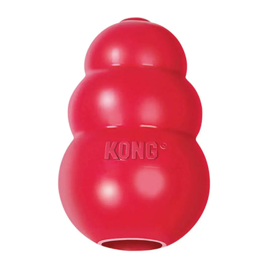 CHEW TOY - KONG