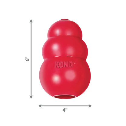 CHEW TOY - KONG