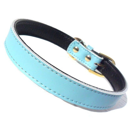 DOG COLLAR             (4 sizes) 8-16"