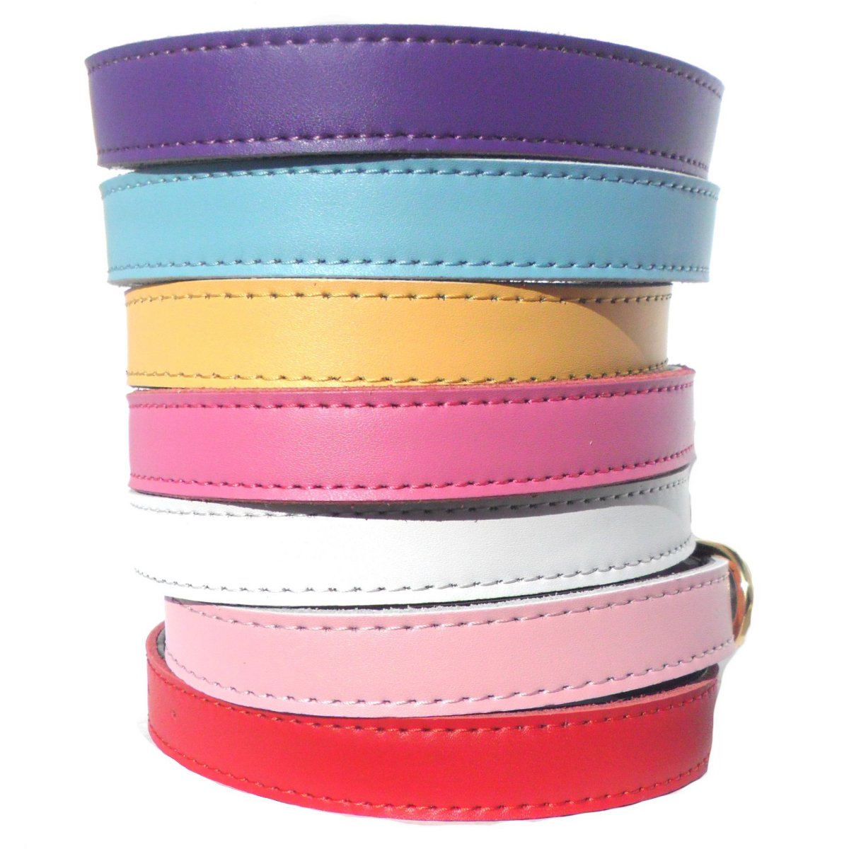 DOG COLLAR             (4 sizes) 8-16"