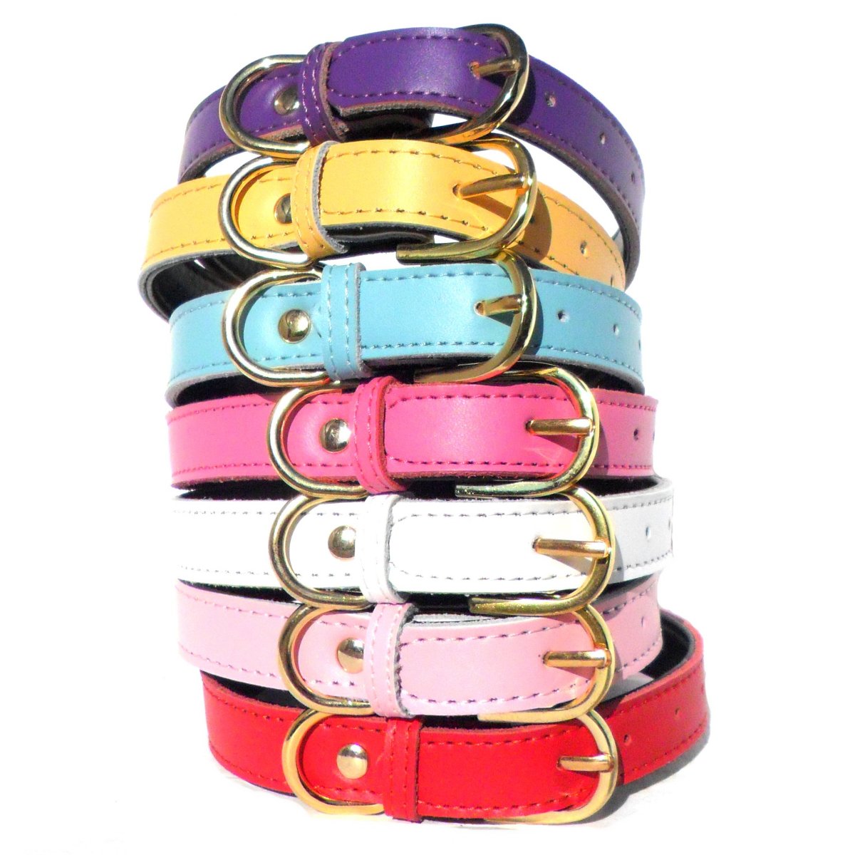 DOG COLLAR             (4 sizes) 8-16"