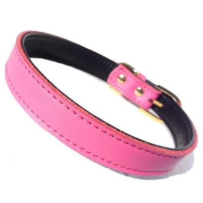 DOG COLLAR             (4 sizes) 8-16"