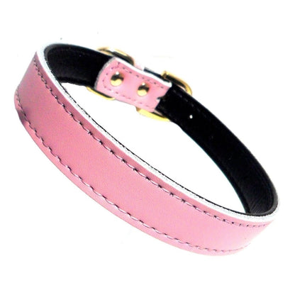 DOG COLLAR             (4 sizes) 8-16"