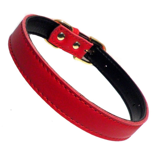 DOG COLLAR             (4 sizes) 8-16"