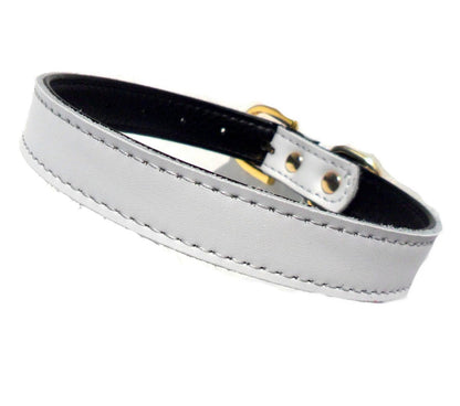 DOG COLLAR             (4 sizes) 8-16"