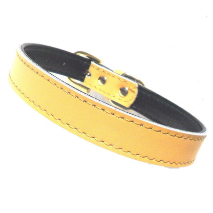 DOG COLLAR             (4 sizes) 8-16"