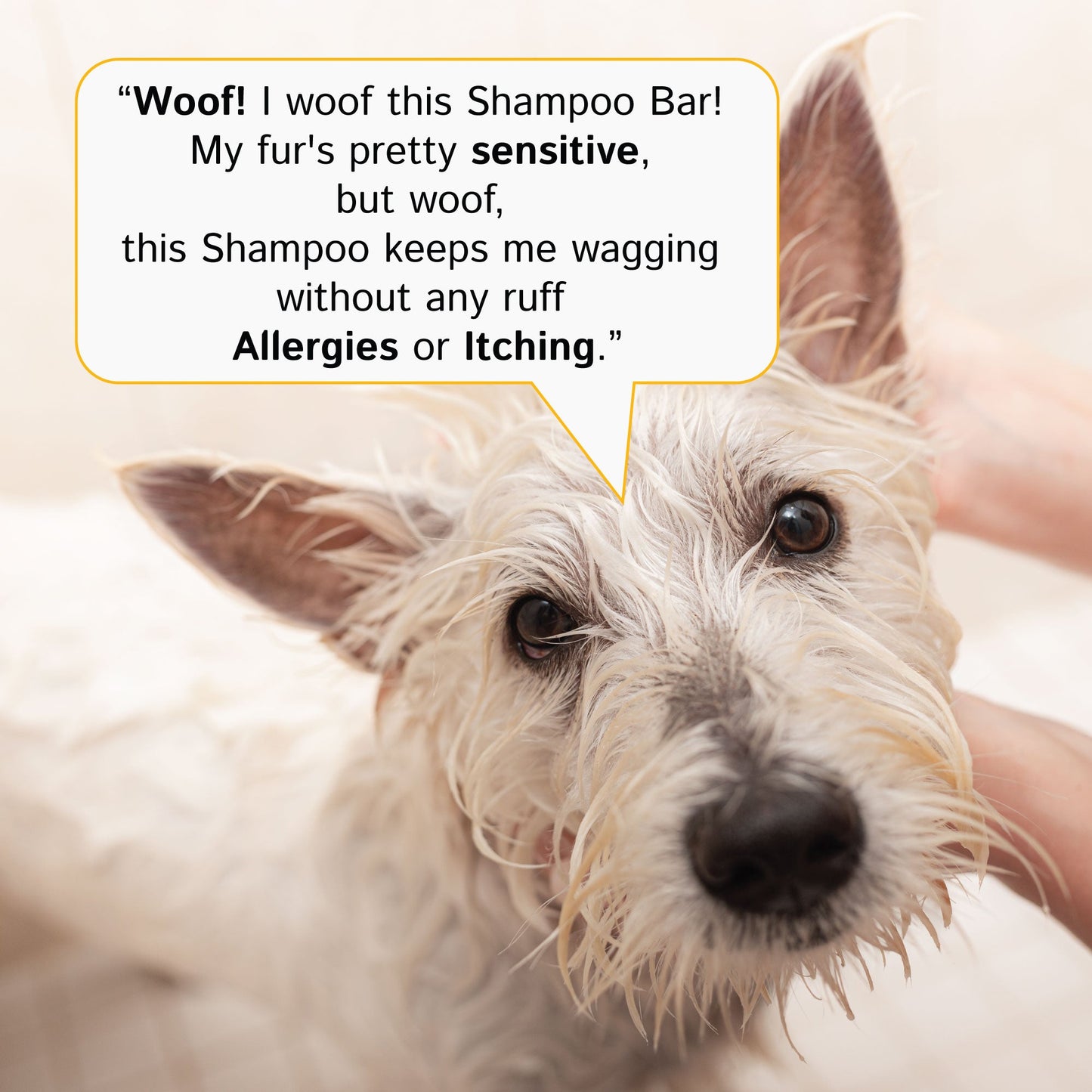 DOG SHAMPOO BAR & CONDITIONING SPRAY