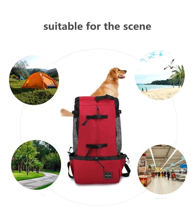 DOG TRAVEL BACKPACK