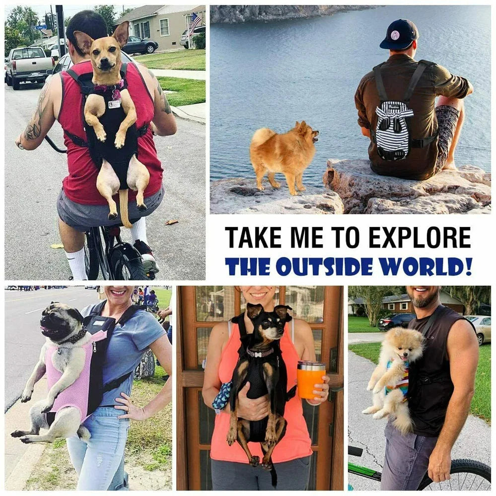 DOG CARRIER BACKPACK - SMALL DOGS