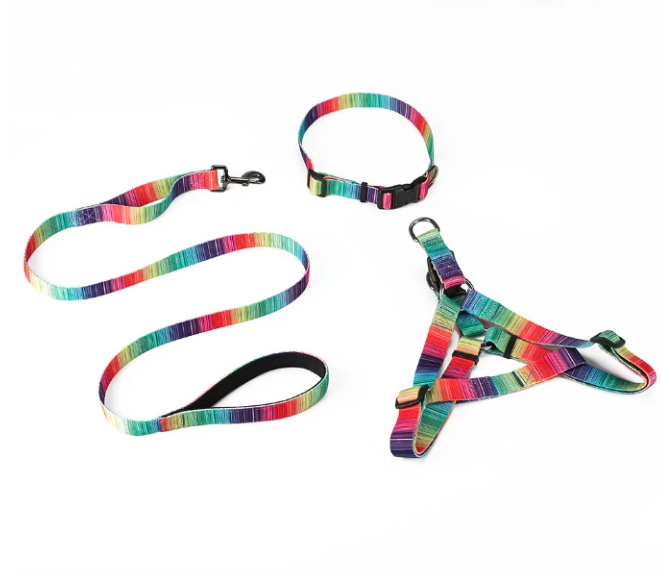 DOG HARNESS - LEASH & COLLAR SET - RAINBOW