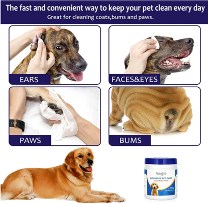 DOG WIPES - WITH FREE COTTON SWABS