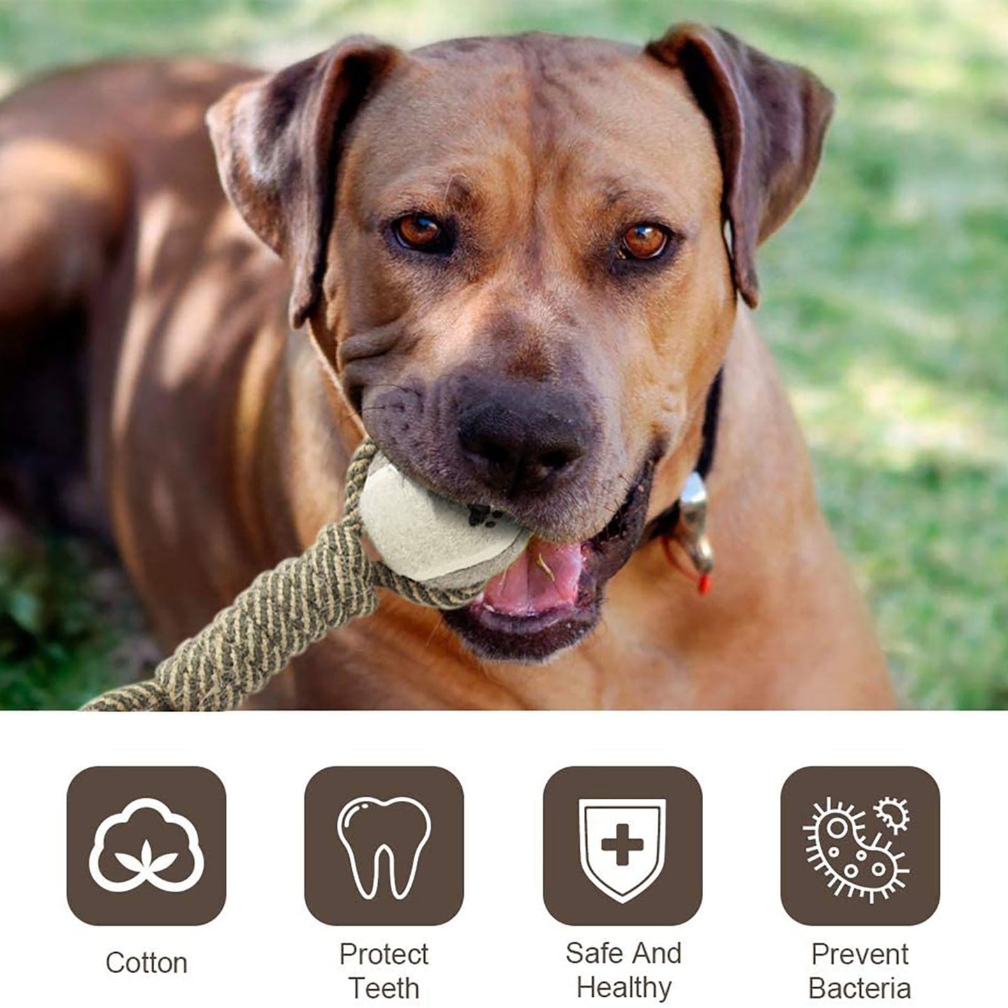 INTERACTIVE DOG TOY