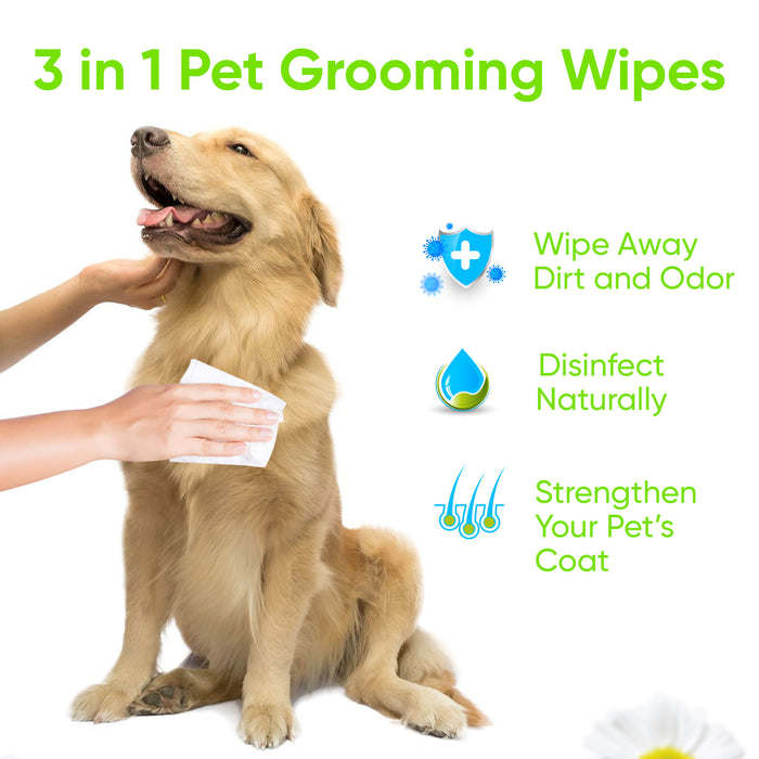 DOG WIPES FOR PAWS & BUTT