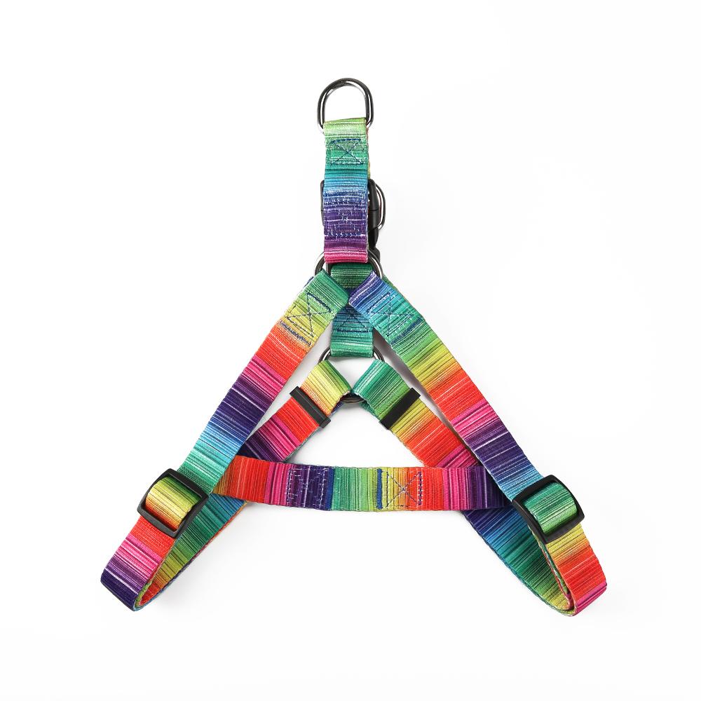 DOG HARNESS - LEASH & COLLAR SET - RAINBOW