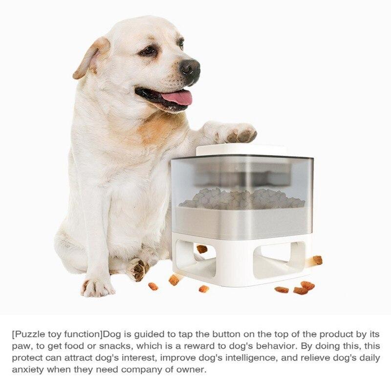 DOG FEEDER & WATER DISPENSER - SLOW