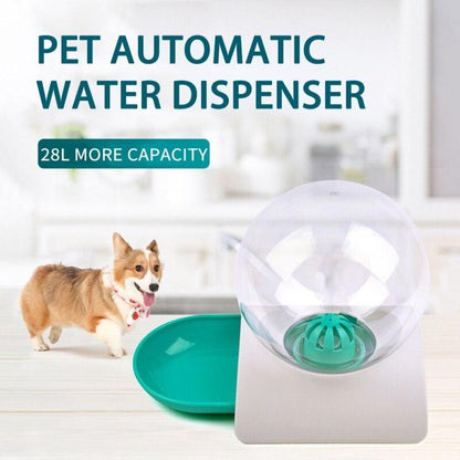 DOG FEEDER - AUTOMATIC FOOD DISPENSER & WATER BOWL